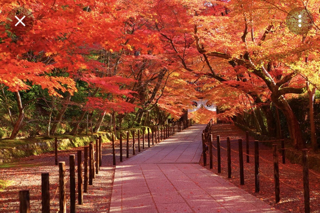 Description: 10 điều thú vị ở thị trấn cổ Takayama – “tiểu Kyoto” ở vùng đất Gifu |  tsunagu Japan