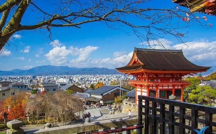 Description: Lâu đài Osaka và những đóa anh đào đẹp nhất xứ Phù Tang