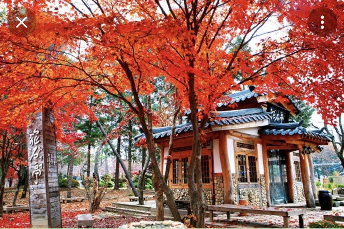 Description: Khám phá ngôi đền cổ Asakusa Kannon nổi tiếng nhất Nhật Bản