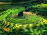 Bản đồ đi du lịch Sapa Bản đồ đi du lịch Sapa