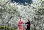 Đi Sapa mùa nào đẹp Đi Sapa mùa nào đẹp